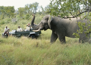 parc kruger